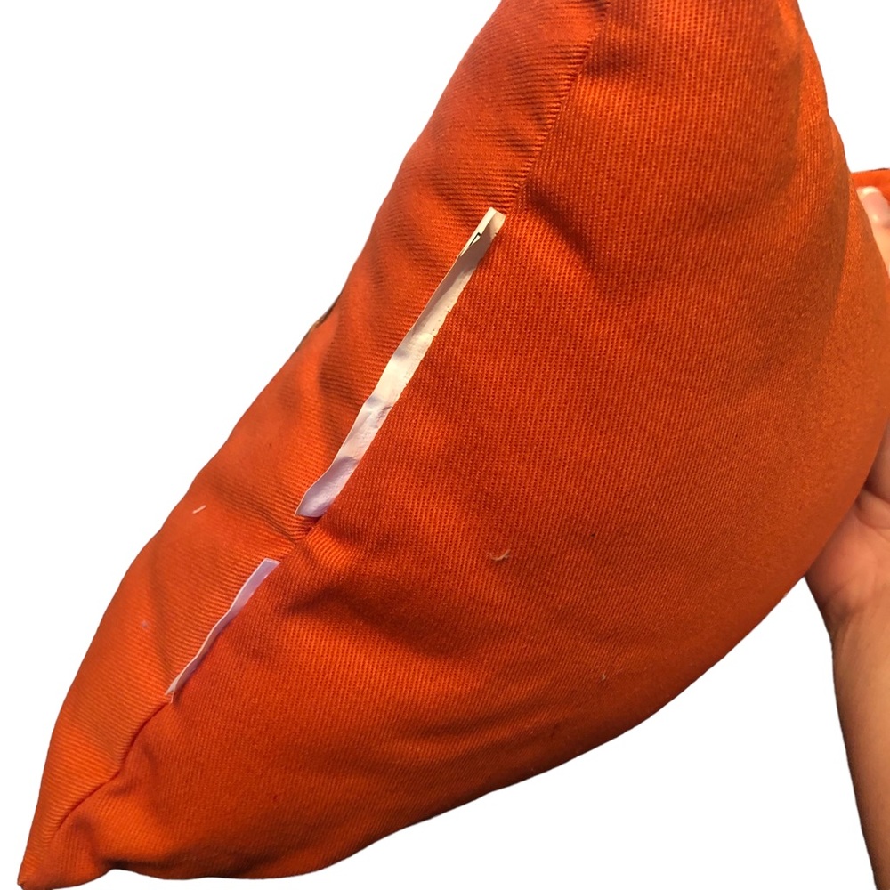 We’re Nuts For Fall Squirrel Decor Pillows - Picture 6 of 11